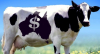 Dairy Revenue